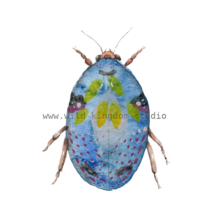 bug#0104 - card