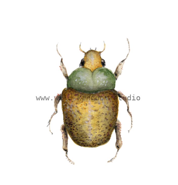 bug#0105 - card