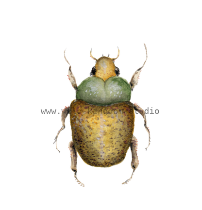 bug#0105 - card