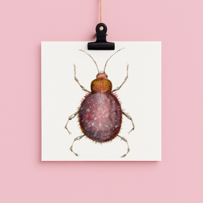 bug#0106 - card