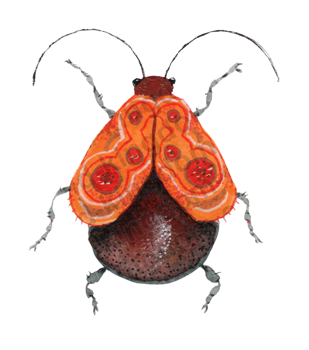 bug#0109 - card