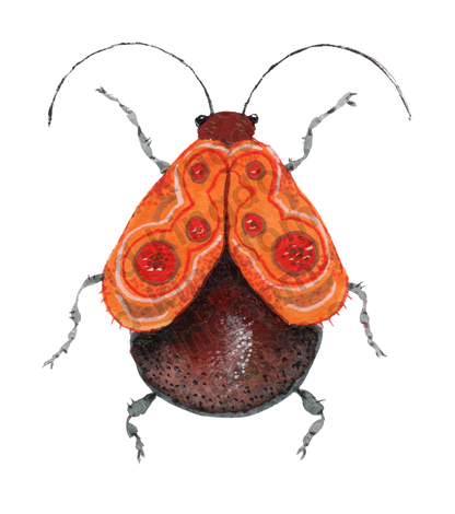 bug#0109 - card