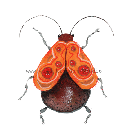 bug#0109 - card