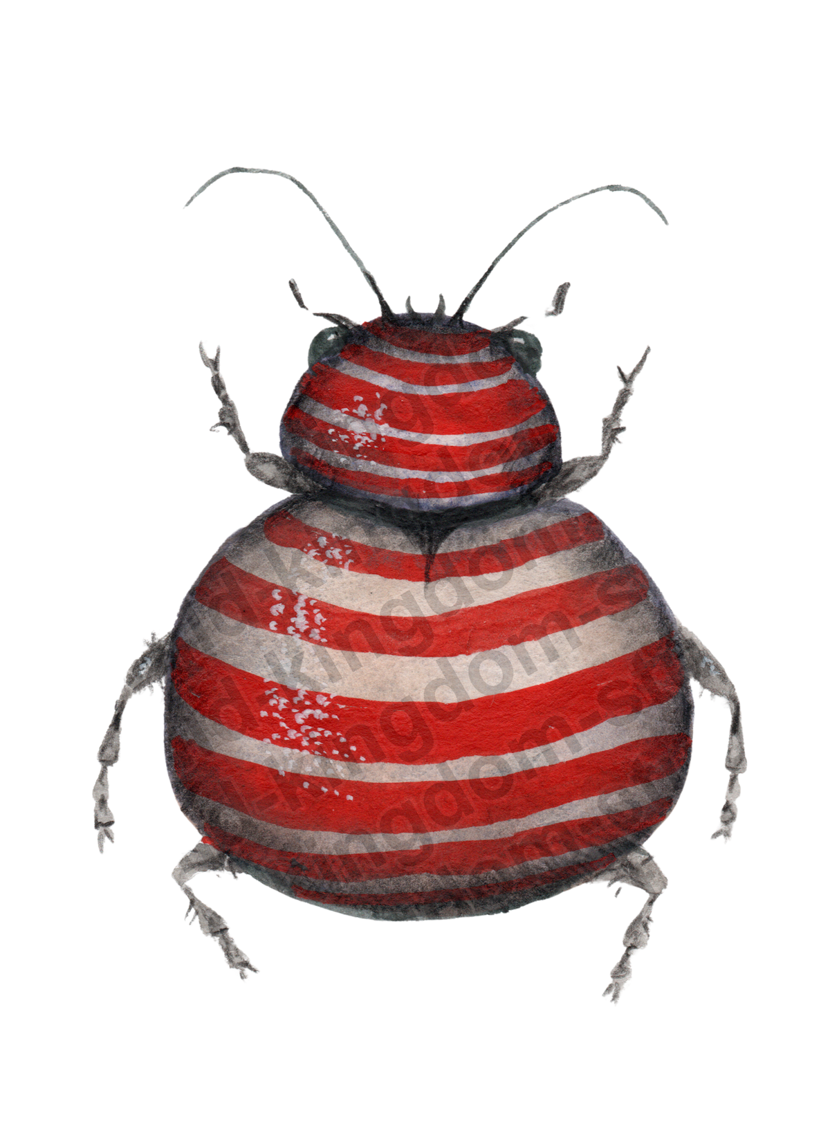 bug#0110 - card
