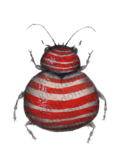 bug#0110 - card