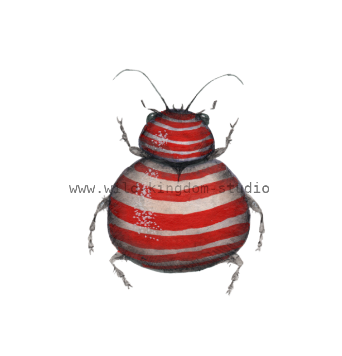 bug#0110 - card
