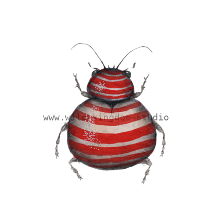 bug#0110 - card