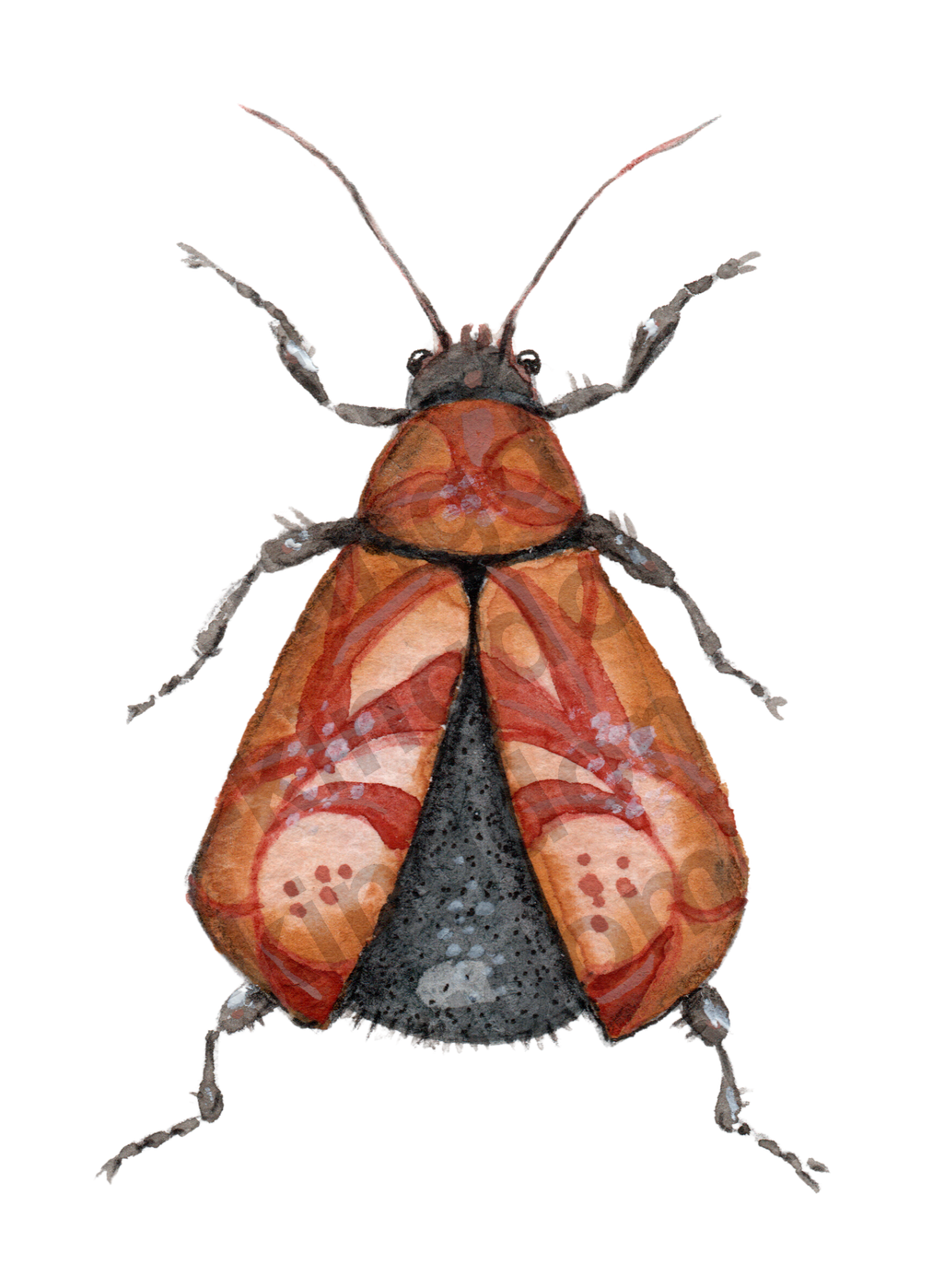 bug#0111 - card