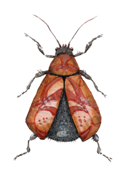 bug#0111 - card