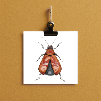 bug#0111 - card