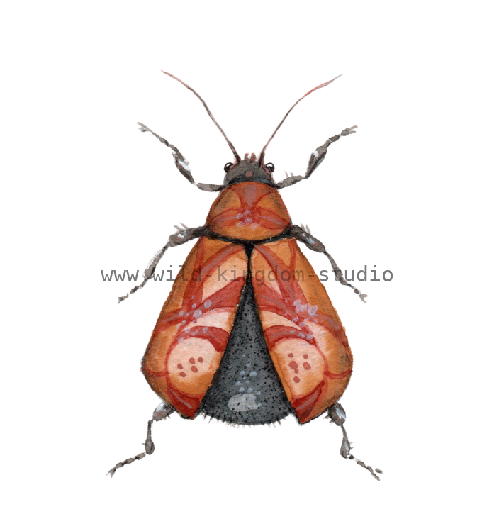 bug#0111 - card