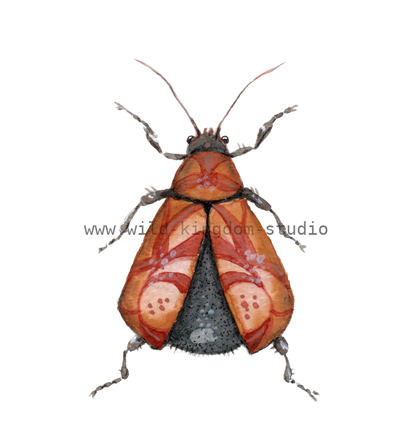 bug#0111 - card