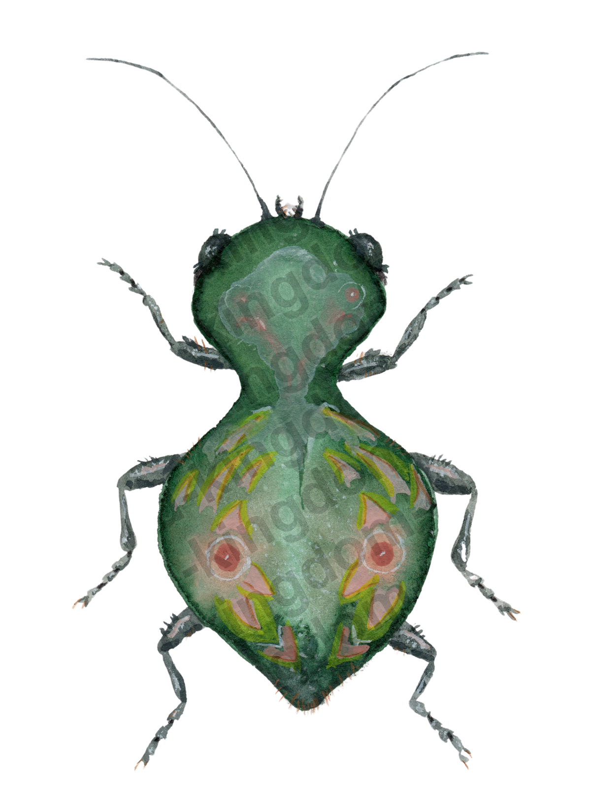 bug#0113 - card