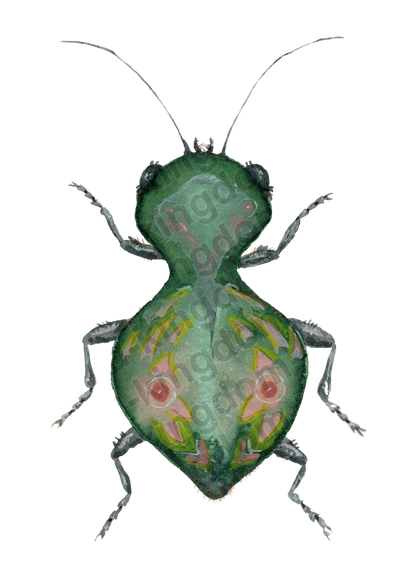 bug#0113 - card