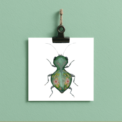 bug#0113 - card