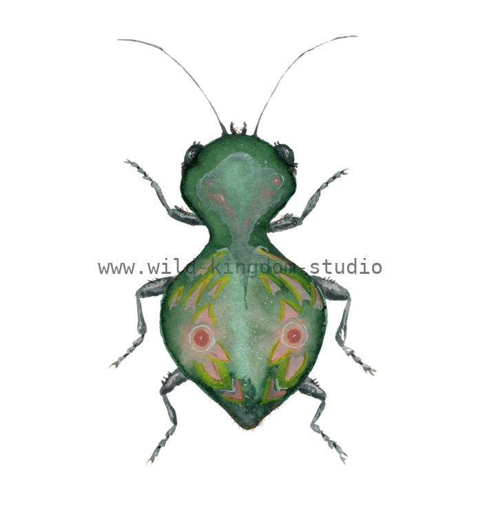 bug#0113 - card