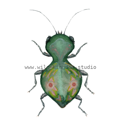 bug#0113 - card