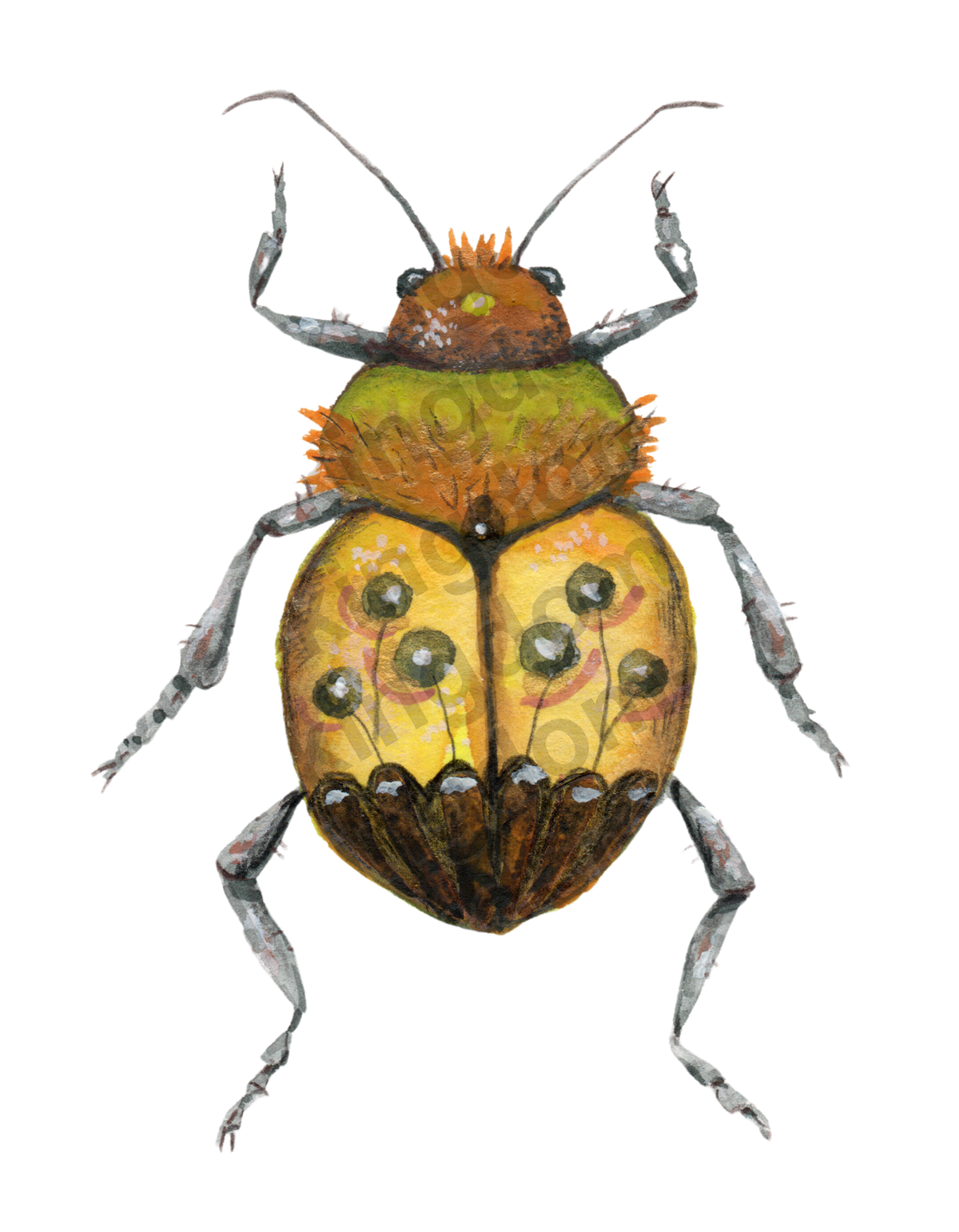 bug#0114 - card