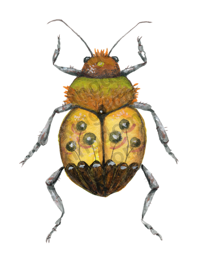 bug#0114 - card
