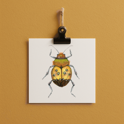 bug#0114 - card