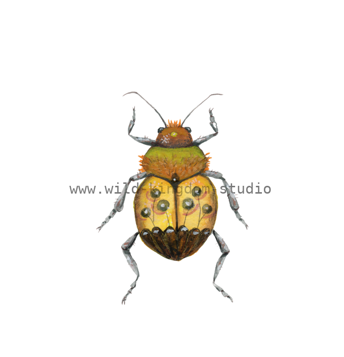 bug#0114 - card