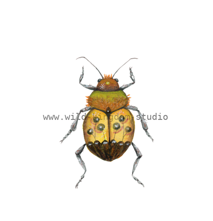 bug#0114 - card
