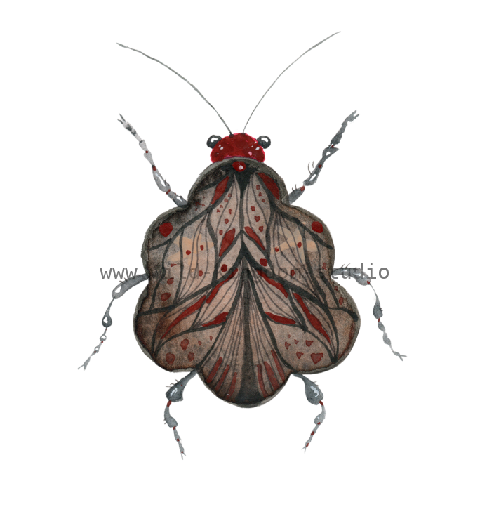 bug#0115 - card