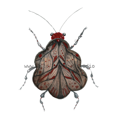 bug#0115 - card