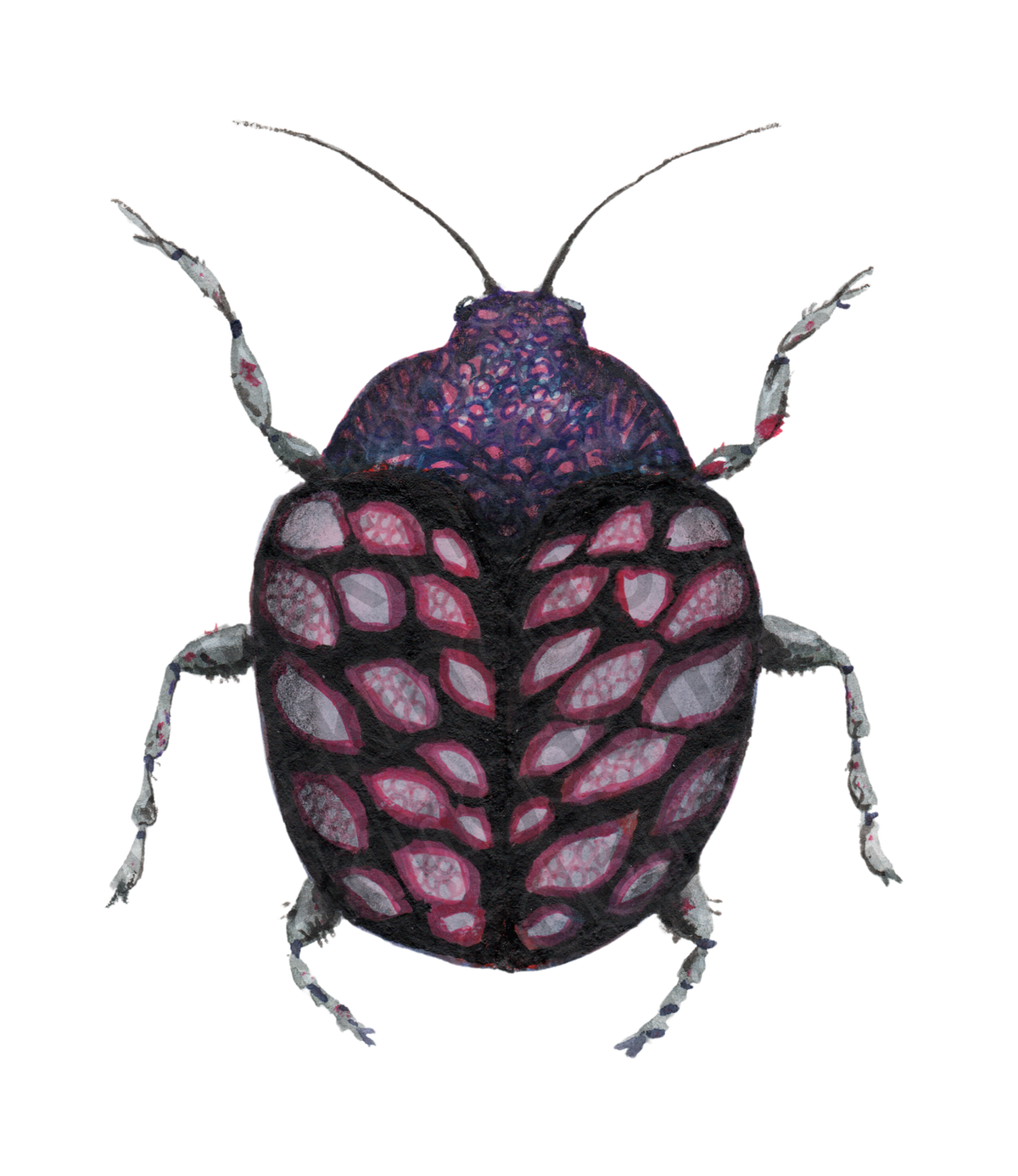 bug#0116 - card