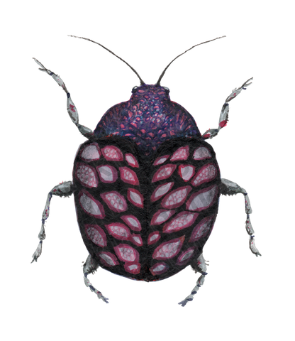 bug#0116 - card