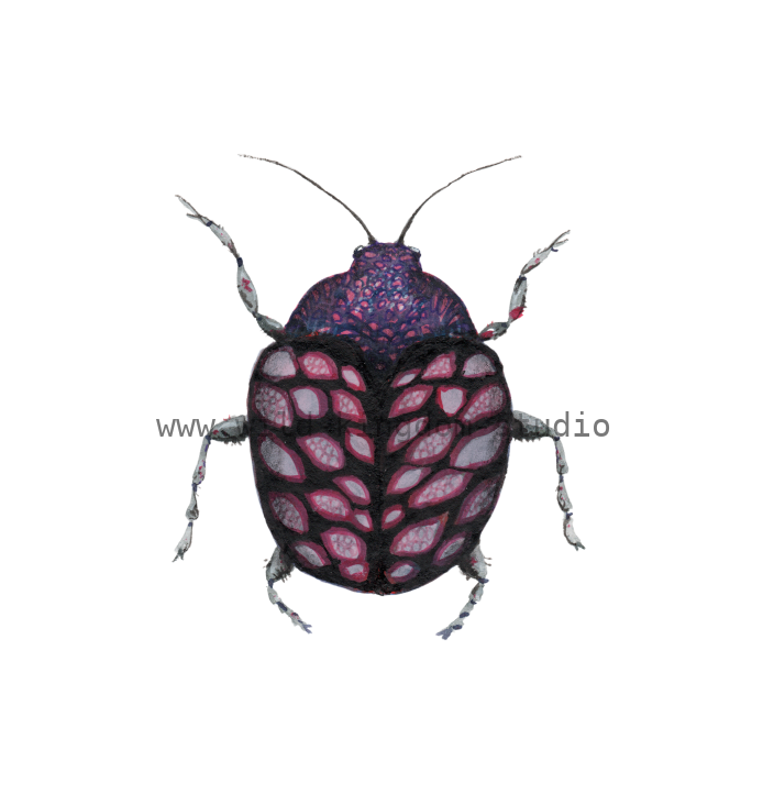 bug#0116 - card