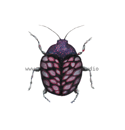 bug#0116 - card