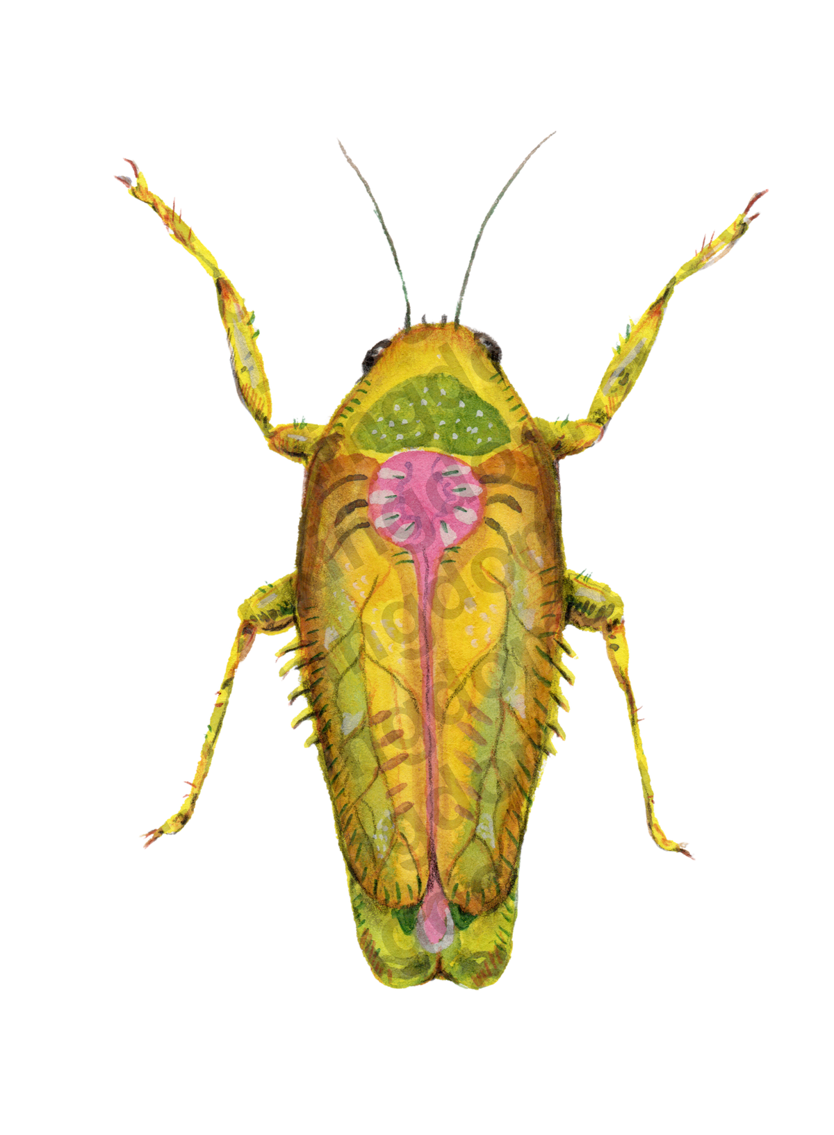bug#0117 - card