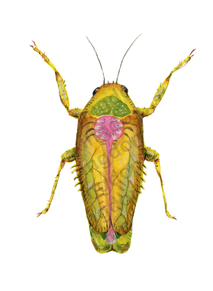 bug#0117 - card