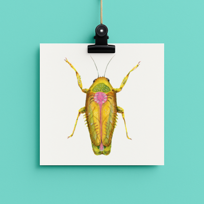 bug#0117 - card