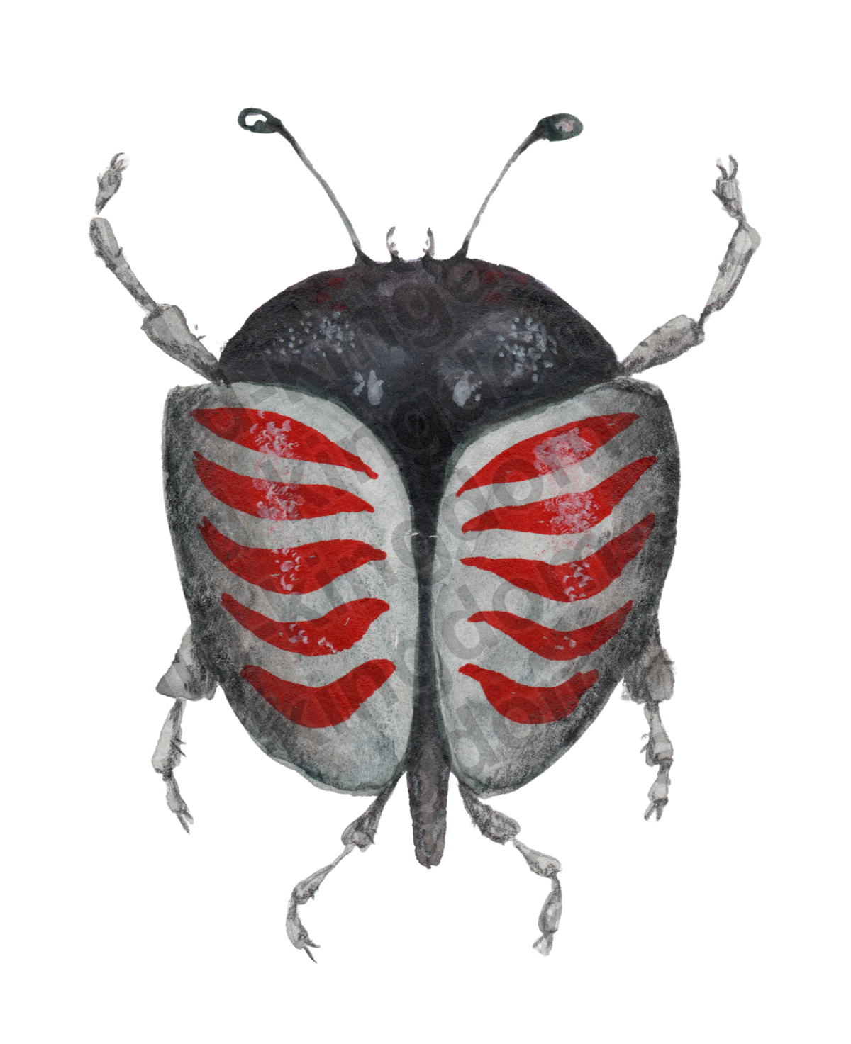bug#0118 - card