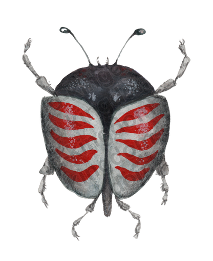 bug#0118 - card