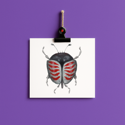 bug#0118 - card