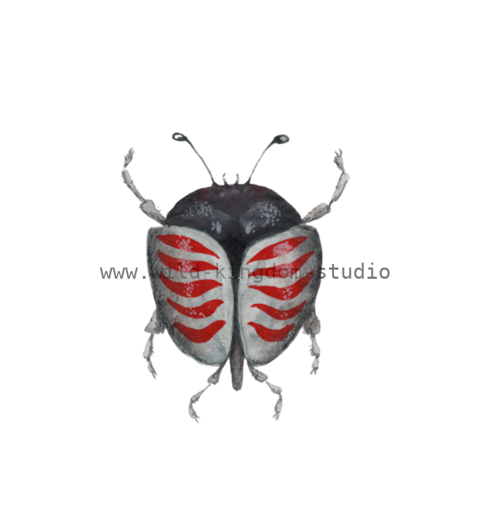 bug#0118 - card