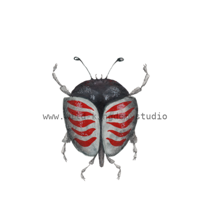 bug#0118 - card