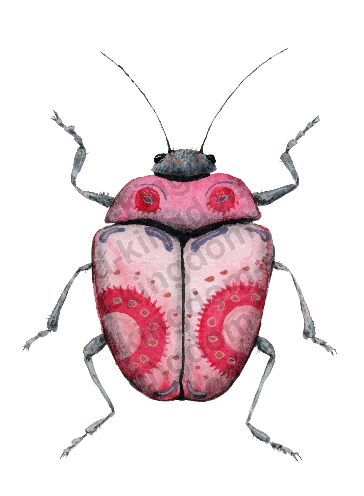bug#0119- card