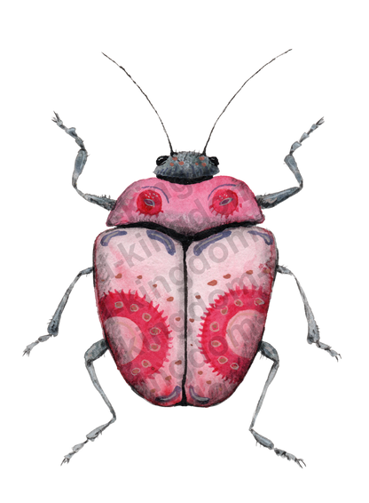 bug#0119- card