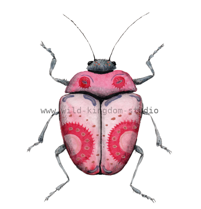 bug#0119- card
