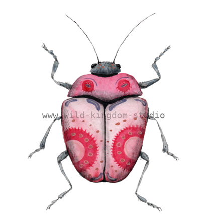 bug#0119- card
