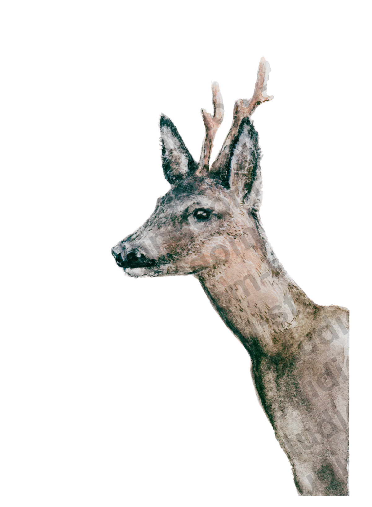 deer#0003 - card