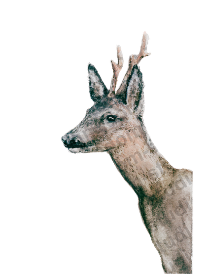 deer#0003 - card