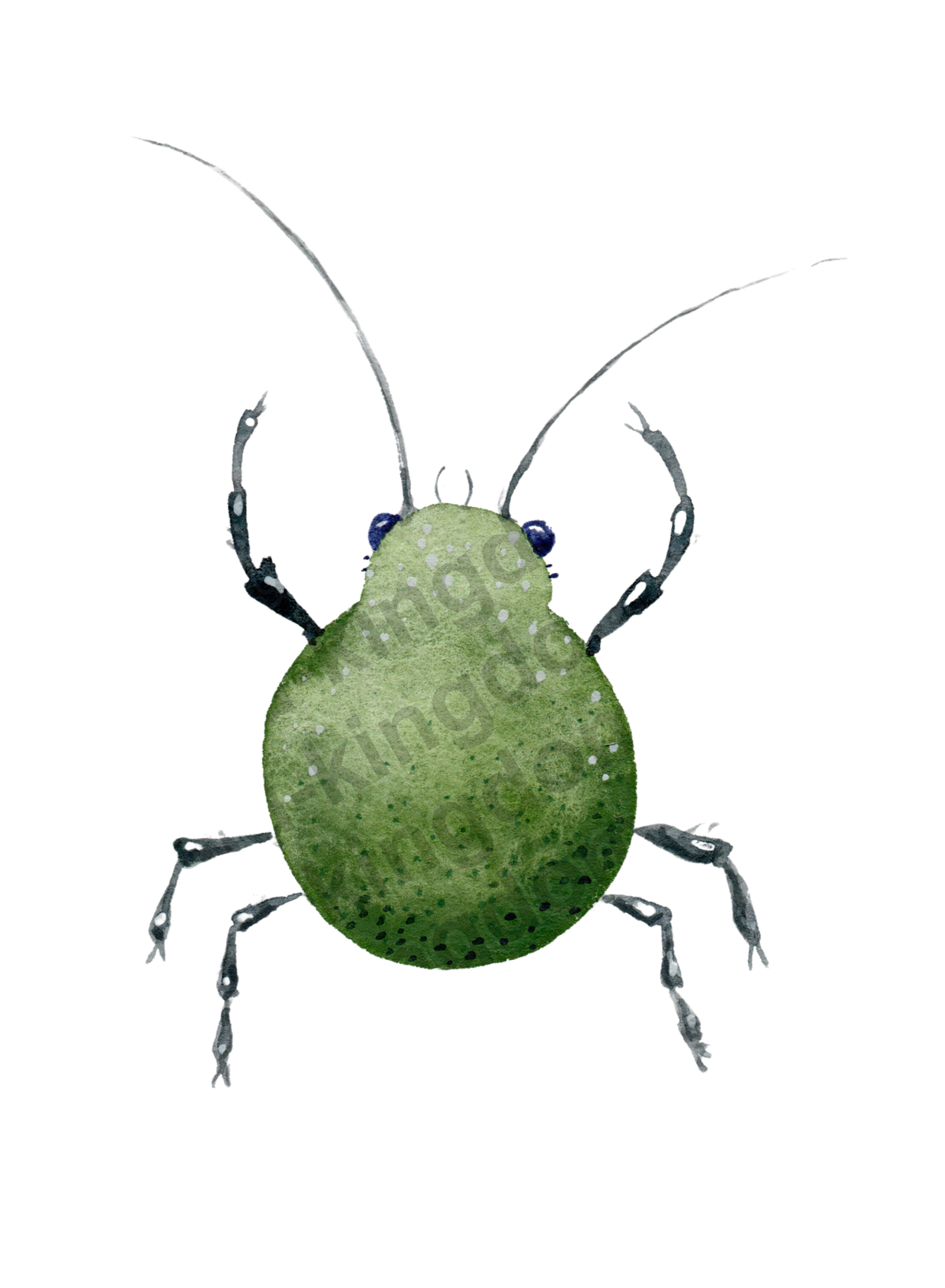 bug#0126- card