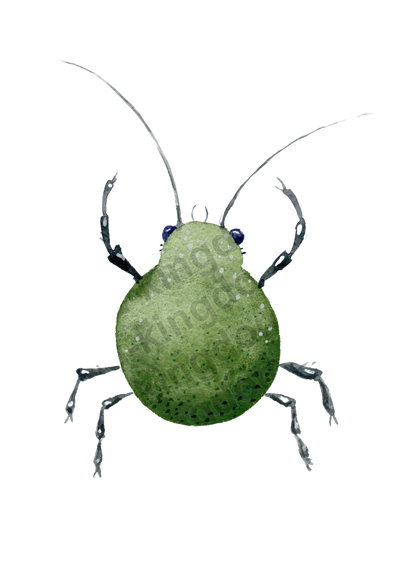bug#0126- card