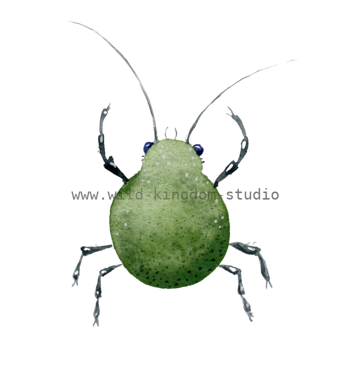 bug#0126- card