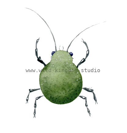 bug#0126- card